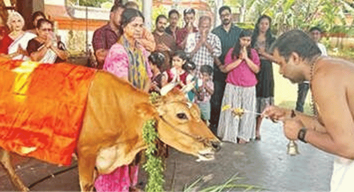 തൃക്കോവിൽ ശ്രീപദ്മനാഭസ്വാമി ക്ഷേത്രത്തിൽ ഗോപൂജ നടന്നു തൃക്കോവിൽ ശ്രീപദ്മനാഭസ്വാമി ക്ഷേത്രത്തിൽ ഗോപൂജ നടന്നു