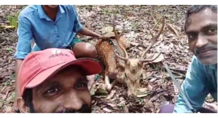 പാലപ്പിള്ളിയിൽ വന്യമൃഗത്തിന് നേരെ ക്രൂരത ; തോട്ടത്തിൽ എത്തിയ മാനിനെ കെട്ടിയിട്ട് വീഡിയോ ചിത്രീകരിച്ചു പാലപ്പിള്ളിയിൽ വന്യമൃഗത്തിന് നേരെ ക്രൂരത ; തോട്ടത്തിൽ എത്തിയ മാനിനെ കെട്ടിയിട്ട് വീഡിയോ ചിത്രീകരിച്ചു