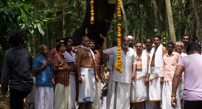 ഇടക്കുളം പള്ളിയോടം നീരണിഞ്ഞു ഇടക്കുളം പള്ളിയോടം നീരണിഞ്ഞു