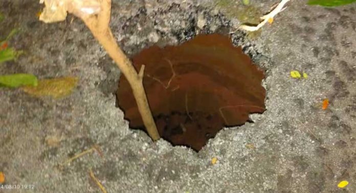 ഊട്ടിയിലേക്ക് കോഴിക്കോട് വഴിയുള്ള ഹ്രസ്വദൂര പാതയായി ഉപയോഗിക്കുന്ന റോഡില് രൂപപ്പെട്ടത് വന് ഗര്ത്തം ഊട്ടിയിലേക്ക് കോഴിക്കോട് വഴിയുള്ള ഹ്രസ്വദൂര പാതയായി ഉപയോഗിക്കുന്ന റോഡില് രൂപപ്പെട്ടത് വന് ഗര്ത്തം