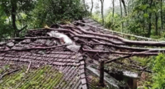പത്തനംതിട്ടയിൽ ശക്തമായ കാറ്റിൽ മരം കടപുഴകി വീണ് വീട് തകര്ന്നു പത്തനംതിട്ടയിൽ ശക്തമായ കാറ്റിൽ മരം കടപുഴകി വീണ് വീട് തകര്ന്നു