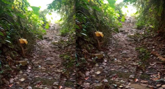 ചിറയ്ക്കൽപാറയിൽ പുതിയ പാലത്തിന് 20 കോടി രൂപയുടെ സാങ്കേതിക അനുമതി ചിറയ്ക്കൽപാറയിൽ പുതിയ പാലത്തിന് 20 കോടി രൂപയുടെ സാങ്കേതിക അനുമതി