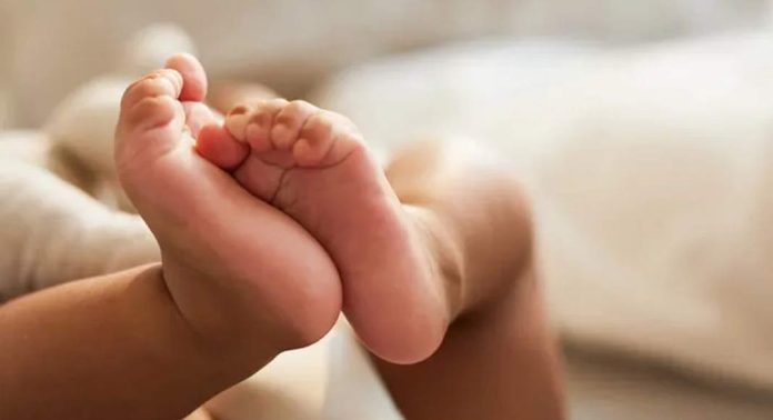 ചേര്ത്തലയില് നവജാത ശിശുവിനെ കാണാതായി ; അന്വേഷണം ആരംഭിച്ച് പോലീസ് ചേര്ത്തലയില് നവജാത ശിശുവിനെ കാണാതായി ; അന്വേഷണം ആരംഭിച്ച് പോലീസ്