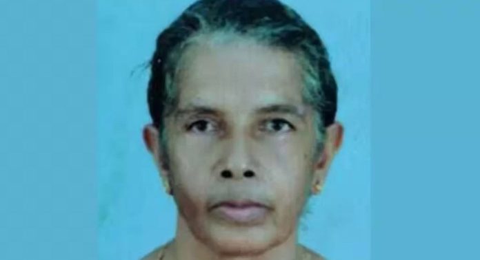 പിക്കപ്പ് വാൻ ഇടിച്ച് കാൽനട യാത്രക്കാരിക്ക് ദാരുണാന്ത്യം പിക്കപ്പ് വാൻ ഇടിച്ച് കാൽനട യാത്രക്കാരിക്ക് ദാരുണാന്ത്യം