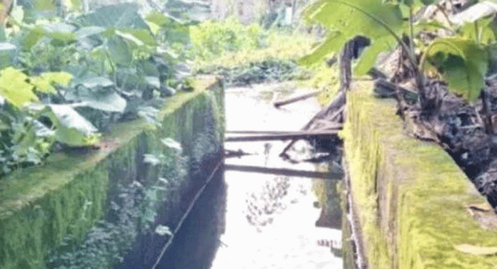 പെരുങ്കുളം പാടശേഖരം മാലിന്യങ്ങളുടെ കൂമ്പാരമാകുന്നു പെരുങ്കുളം പാടശേഖരം മാലിന്യങ്ങളുടെ കൂമ്പാരമാകുന്നു