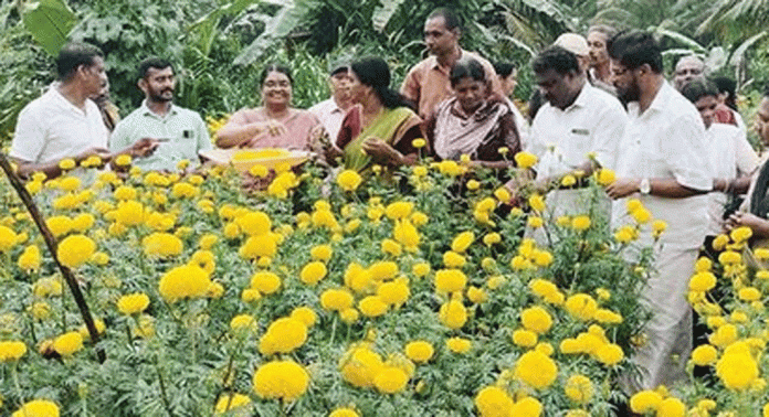 ഇഞ്ചപ്പാറ ജംഗ്ഷനില് വിശ്രമത്തിന് മലർവാടി പാർക്കിന്റെ തണൽ ഇഞ്ചപ്പാറ ജംഗ്ഷനില് വിശ്രമത്തിന് മലർവാടി പാർക്കിന്റെ തണൽ
