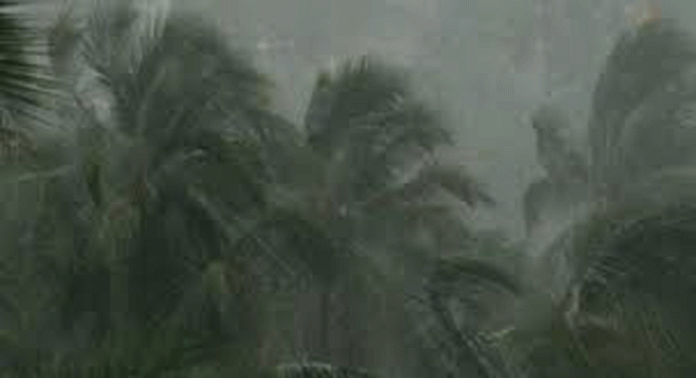 വടക്കുകിഴക്കൻ മൺസൂൺ ശക്തിപ്രാപിച്ചതിന് പിന്നാലെ തമിഴ്നാട്ടിൽ വ്യാപക മഴ വടക്കുകിഴക്കൻ മൺസൂൺ ശക്തിപ്രാപിച്ചതിന് പിന്നാലെ തമിഴ്നാട്ടിൽ വ്യാപക മഴ