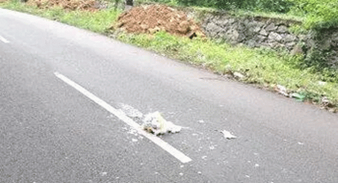 ചെത്തോങ്കര – അത്തിക്കയം റോഡില് മാലിന്യം തള്ളുന്നത് പതിവ് ചെത്തോങ്കര – അത്തിക്കയം റോഡില് മാലിന്യം തള്ളുന്നത് പതിവ്