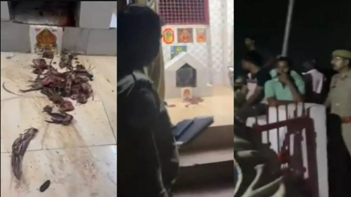 യു.പിയിൽ ക്ഷേത്രത്തിനുള്ളിൽ കോഴി അവശിഷ്ടങ്ങൾ തള്ളിയ യുവാവ് അറസ്റ്റിൽ യു.പിയിൽ ക്ഷേത്രത്തിനുള്ളിൽ കോഴി അവശിഷ്ടങ്ങൾ തള്ളിയ യുവാവ് അറസ്റ്റിൽ