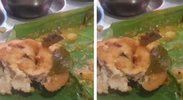 ഉഴുന്നുവടയിൽ ബ്ലേഡ് ; ഹോട്ടൽ അടപ്പിച്ചു ഉഴുന്നുവടയിൽ ബ്ലേഡ് ; ഹോട്ടൽ അടപ്പിച്ചു