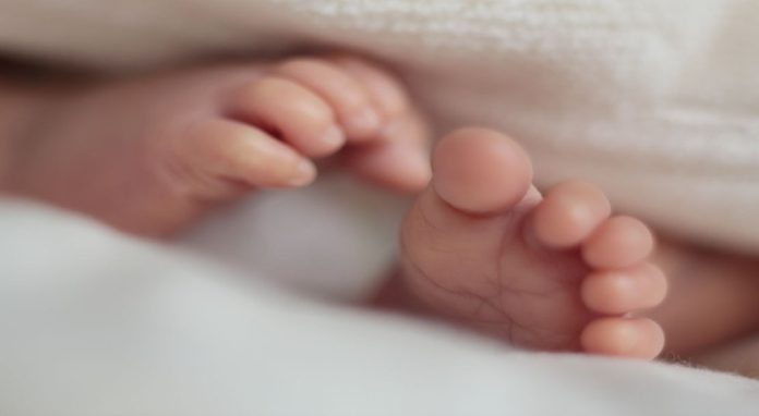 ഭര്ത്താവും വീട്ടുകാരും കുഞ്ഞിനെ കൊലപ്പെടുത്തി ; പരാതി നല്കി നേപ്പാള് സ്വദേശിയായ യുവതി ഭര്ത്താവും വീട്ടുകാരും കുഞ്ഞിനെ കൊലപ്പെടുത്തി ; പരാതി നല്കി നേപ്പാള് സ്വദേശിയായ യുവതി