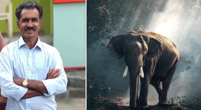 കാട്ടാന ചവിട്ടിക്കൊന്നു ; ദേശീയ പാത ഉപരോധിച്ച് നാട്ടുകാർ കാട്ടാന ചവിട്ടിക്കൊന്നു ; ദേശീയ പാത ഉപരോധിച്ച് നാട്ടുകാർ