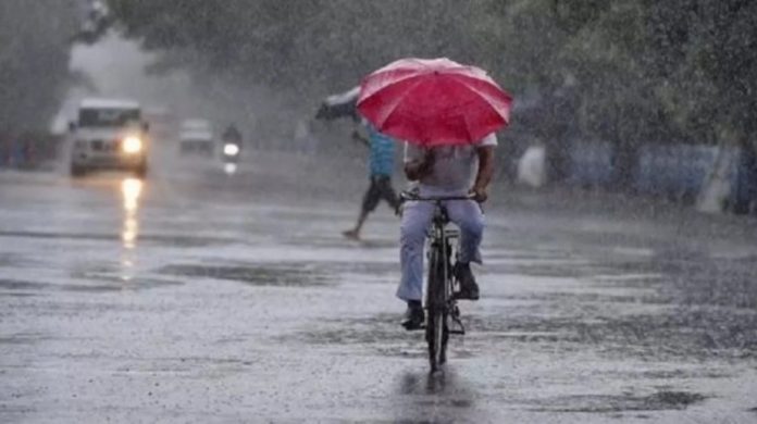 ശനിയാഴ്ച മുതൽ മഴ കനക്കും ; വിവിധ ജില്ലകളിൽ യെല്ലോ അലർട്ട് പ്രഖ്യാപിച്ചു, ശക്തമായ കാറ്റിനും കള്ളക്കടലിനും സാധ്യത ശനിയാഴ്ച മുതൽ മഴ കനക്കും ; വിവിധ ജില്ലകളിൽ യെല്ലോ അലർട്ട് പ്രഖ്യാപിച്ചു, ശക്തമായ കാറ്റിനും കള്ളക്കടലിനും സാധ്യത