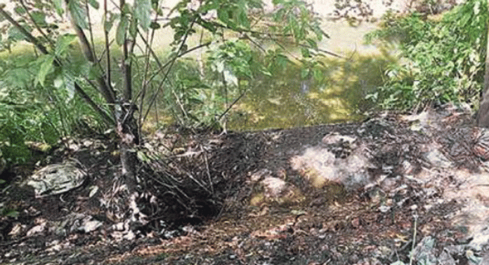 അടൂരില് പലസ്ഥലങ്ങളിലും കക്കൂസ് മാലിന്യം തള്ളുന്നത് പതിവ് അടൂരില് പലസ്ഥലങ്ങളിലും കക്കൂസ് മാലിന്യം തള്ളുന്നത് പതിവ്