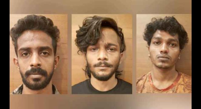 ഓട്ടോറിക്ഷയുടെ മറവിൽ മയക്കുമരുന്ന് വില്പന ; മൂന്നംഗ സംഘം പിടിയിൽ ഓട്ടോറിക്ഷയുടെ മറവിൽ മയക്കുമരുന്ന് വില്പന ; മൂന്നംഗ സംഘം പിടിയിൽ