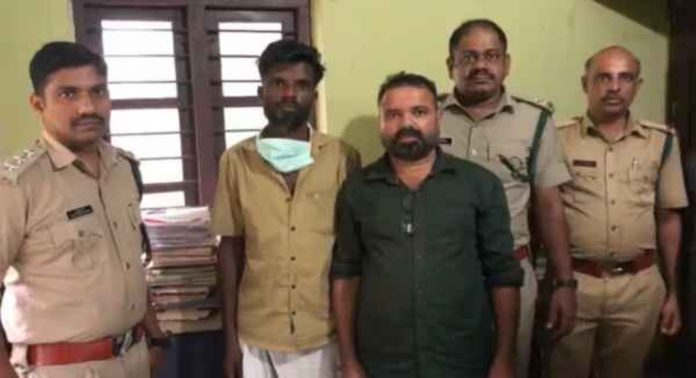 ആനക്കൊമ്പുകളുമായി രണ്ടുപേർ പിടിയിൽ ആനക്കൊമ്പുകളുമായി രണ്ടുപേർ പിടിയിൽ