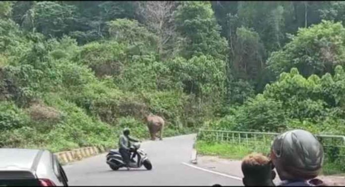 വാഹനത്തിൽ ഇന്ധനമില്ല, കാട്ടാനയെ തുരത്താൻ വനംവകുപ്പിനെ ഫോൺ വിളിച്ചയാൾക്ക് വിചിത്ര മറുപടിയുമായി ഉദ്യോഗസ്ഥർ വാഹനത്തിൽ ഇന്ധനമില്ല, കാട്ടാനയെ തുരത്താൻ വനംവകുപ്പിനെ ഫോൺ വിളിച്ചയാൾക്ക് വിചിത്ര മറുപടിയുമായി ഉദ്യോഗസ്ഥർ