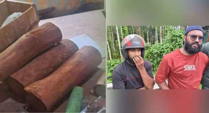 നിലമ്പൂരിൽ 29 കിലോ രക്തചന്ദനവുമായി രണ്ടുപേർ പിടിയിൽ നിലമ്പൂരിൽ 29 കിലോ രക്തചന്ദനവുമായി രണ്ടുപേർ പിടിയിൽ