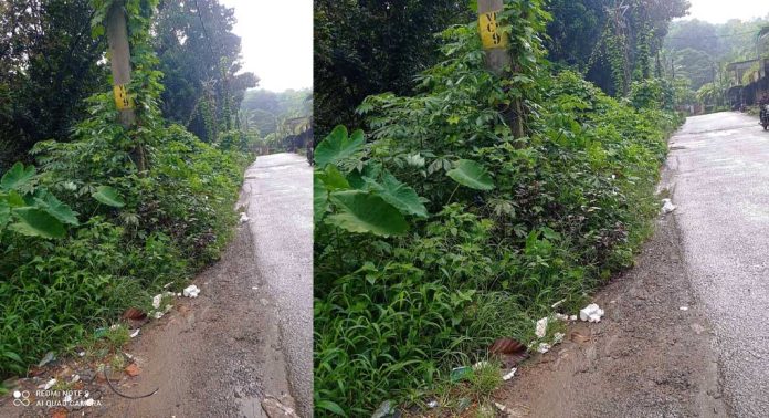 പൊന്തൻപുഴ – ചുങ്കപ്പാറ റോഡിൽ ക്രാഷ് ബാരിയർ സ്ഥാപിക്കണമെന്നാവശ്യം ശക്തം പൊന്തൻപുഴ – ചുങ്കപ്പാറ റോഡിൽ ക്രാഷ് ബാരിയർ സ്ഥാപിക്കണമെന്നാവശ്യം ശക്തം