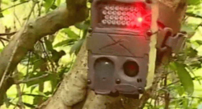 പുലിപ്പേടിയില് കാസര്ഗോഡ് ജില്ലയിലെ ഇരിയണ്ണി പ്രദേശം പുലിപ്പേടിയില് കാസര്ഗോഡ് ജില്ലയിലെ ഇരിയണ്ണി പ്രദേശം
