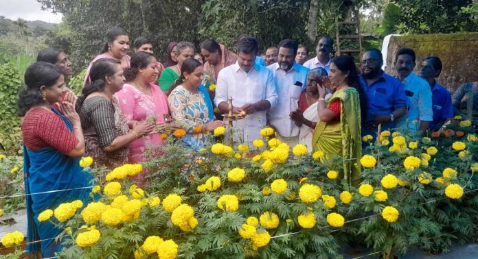 ഐരവണിൽ ബന്ദിപ്പൂ കൃഷി വിളവെടുപ്പ് നടന്നു ഐരവണിൽ ബന്ദിപ്പൂ കൃഷി വിളവെടുപ്പ് നടന്നു