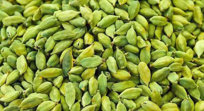 ഇടുക്കിയിൽ ഏലം കർഷകരെ കബളിപ്പിച്ച് കോടികൾ തട്ടിയെടുത്തയാളെ അടിമാലി പോലീസ് പിടികൂടി ഇടുക്കിയിൽ ഏലം കർഷകരെ കബളിപ്പിച്ച് കോടികൾ തട്ടിയെടുത്തയാളെ അടിമാലി പോലീസ് പിടികൂടി