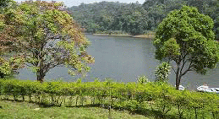 പുതിയ ഗവി പാക്കേജ് പ്രഖ്യാപിച്ച് കെ.എസ്.ആർ.ടി.സി ബജറ്റ് ടൂറിസം സെൽ പുതിയ ഗവി പാക്കേജ് പ്രഖ്യാപിച്ച് കെ.എസ്.ആർ.ടി.സി ബജറ്റ് ടൂറിസം സെൽ
