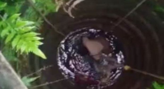 വെള്ളം കോരുന്നതിനിടെ കാൽ വഴുതി കിണറ്റിൽ വീണ റിട്ടയേർഡ് വനിതാ പ്രൊഫസറെ അഗ്നിരക്ഷാ സേനയെത്തി രക്ഷിച്ചു വെള്ളം കോരുന്നതിനിടെ കാൽ വഴുതി കിണറ്റിൽ വീണ റിട്ടയേർഡ് വനിതാ പ്രൊഫസറെ അഗ്നിരക്ഷാ സേനയെത്തി രക്ഷിച്ചു