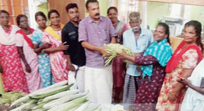ഓണക്കാല വിപണിയിലേക്ക് വേണ്ടുന്ന പച്ചക്കറികൾ ഉത്പാദിപ്പിച്ച് ഒൻപത് പഞ്ചായത്തിന് കൈമാറിയ നേട്ടവുമായി കവിയൂർ പഞ്ചായത്ത് ഓണക്കാല വിപണിയിലേക്ക് വേണ്ടുന്ന പച്ചക്കറികൾ ഉത്പാദിപ്പിച്ച് ഒൻപത് പഞ്ചായത്തിന് കൈമാറിയ നേട്ടവുമായി കവിയൂർ പഞ്ചായത്ത്