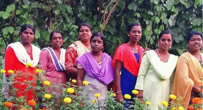 ബന്തിപൂക്കള് ഒരുക്കി കല്ലുപ്പാറ പഞ്ചായത്തും റെഡി ഓണം കളറാക്കാന് ബന്തിപൂക്കള് ഒരുക്കി കല്ലുപ്പാറ പഞ്ചായത്തും റെഡി ഓണം കളറാക്കാന്