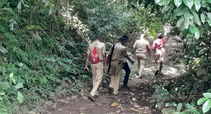 കോന്നി ഇളകൊള്ളൂരിൽ കാട്ടുപോത്തുകള് ഇറങ്ങി : തിരച്ചിൽ ഊർജിതമാക്കി വനം വകുപ്പ് കോന്നി ഇളകൊള്ളൂരിൽ കാട്ടുപോത്തുകള് ഇറങ്ങി : തിരച്ചിൽ ഊർജിതമാക്കി വനം വകുപ്പ്