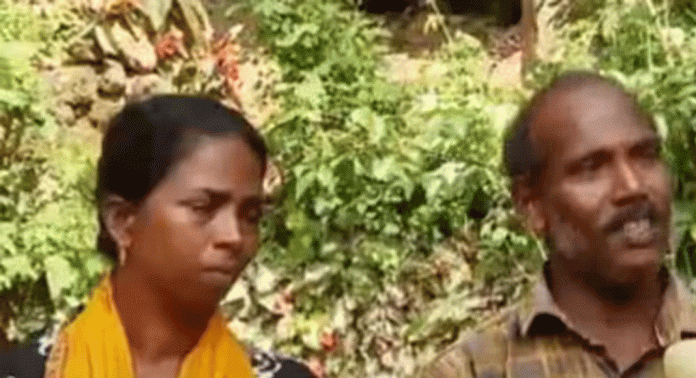 പിറവത്ത് തൊഴുത്തിൽ നിന്ന ഗർഭിണിയായ പശുവിനെ അയൽവാസി വെട്ടിക്കൊന്ന മനോജിന്റെ വീട്ടിൽ പുതിയ പശുക്കളെത്തി പിറവത്ത് തൊഴുത്തിൽ നിന്ന ഗർഭിണിയായ പശുവിനെ അയൽവാസി വെട്ടിക്കൊന്ന മനോജിന്റെ വീട്ടിൽ പുതിയ പശുക്കളെത്തി