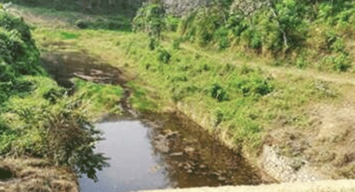 തട്ടയിൽ പാറക്കര മുല്ലോട്ട് ഡാമിന്റെ വികസനം ഇനിയും സ്വപ്നംമാത്രം തട്ടയിൽ പാറക്കര മുല്ലോട്ട് ഡാമിന്റെ വികസനം ഇനിയും സ്വപ്നംമാത്രം