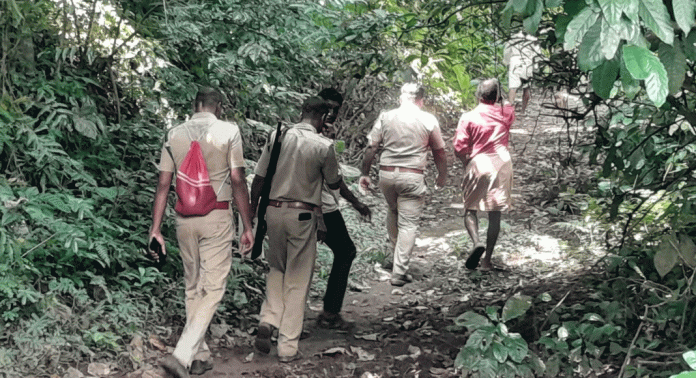 കോന്നിയിൽ നാട്ടുകാരുടെ ഉറക്കം കെടുത്തി കാട്ടുപോത്തും കാട്ടാനയും കോന്നിയിൽ നാട്ടുകാരുടെ ഉറക്കം കെടുത്തി കാട്ടുപോത്തും കാട്ടാനയും