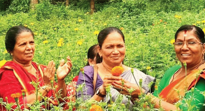 ബന്ദിപ്പൂകൃഷി കർഷകർക്ക് ബാധ്യതയായി മാറുന്നു ബന്ദിപ്പൂകൃഷി കർഷകർക്ക് ബാധ്യതയായി മാറുന്നു