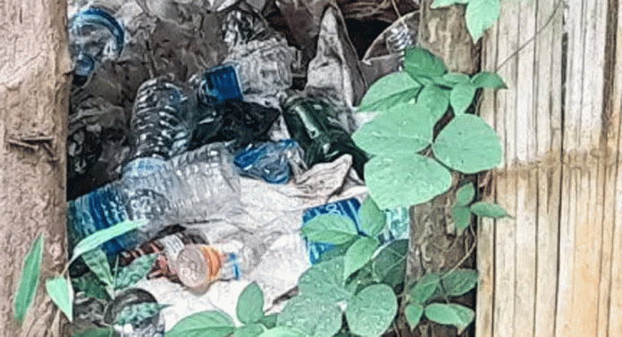 പ്ലാസ്റ്റിക് മാലിന്യം കുമിഞ്ഞ് കുട്ടവഞ്ചി സവാരികേന്ദ്രം പ്ലാസ്റ്റിക് മാലിന്യം കുമിഞ്ഞ് കുട്ടവഞ്ചി സവാരികേന്ദ്രം