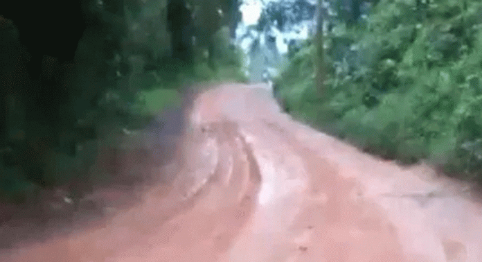 മല്ലപ്പള്ളി മുരണി റോഡില് മണ്ണെടുപ്പ് വ്യാപകമാകുന്നു മല്ലപ്പള്ളി മുരണി റോഡില് മണ്ണെടുപ്പ് വ്യാപകമാകുന്നു