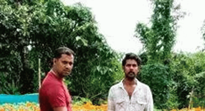 തെള്ളിയൂർ ഗ്രാമത്തിൽ ബന്ദിപ്പൂക്കളുടെ പൂന്തോട്ടം ഒരുങ്ങി തെള്ളിയൂർ ഗ്രാമത്തിൽ ബന്ദിപ്പൂക്കളുടെ പൂന്തോട്ടം ഒരുങ്ങി
