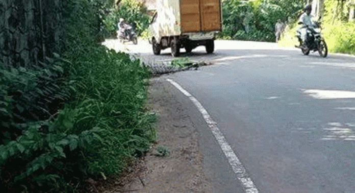 മല്ലപ്പള്ളി കെ.എസ്ആർ.ടി.സി ഡിപ്പോയ്ക്ക് സമീപത്തെ കൊടുംവളവ് അപകടക്കെണിയാകുന്നു മല്ലപ്പള്ളി കെ.എസ്ആർ.ടി.സി ഡിപ്പോയ്ക്ക് സമീപത്തെ കൊടുംവളവ് അപകടക്കെണിയാകുന്നു