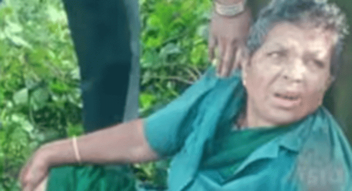 മൂന്നാറിൽ കാട്ടാനയുടെ ആക്രമണത്തിൽ രണ്ടുപേർക്ക് പരിക്കേറ്റു മൂന്നാറിൽ കാട്ടാനയുടെ ആക്രമണത്തിൽ രണ്ടുപേർക്ക് പരിക്കേറ്റു