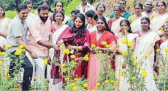 മുളക്കുഴ പഞ്ചായത്തില് തൊഴിലുറപ്പുതൊഴിലാളികളുടെ നേതൃത്വത്തിലുള്ള പൂക്കൃഷിയുടെ വിളവെടുത്തു മുളക്കുഴ പഞ്ചായത്തില് തൊഴിലുറപ്പുതൊഴിലാളികളുടെ നേതൃത്വത്തിലുള്ള പൂക്കൃഷിയുടെ വിളവെടുത്തു