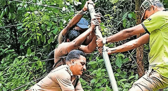 വന്യമൃഗ ശല്യം വ്യാപകമായതോടെ തകര്ന്നു കിടന്ന സൗരോർജ വേലി വനപാലകർ പുനഃസ്ഥാപിച്ചു വന്യമൃഗ ശല്യം വ്യാപകമായതോടെ തകര്ന്നു കിടന്ന സൗരോർജ വേലി വനപാലകർ പുനഃസ്ഥാപിച്ചു