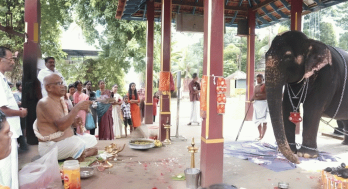 വിനായകചതുർത്ഥി ; ഓതറ പുതുക്കുളങ്ങര ദേവീക്ഷേത്രത്തിലെ മഹാഗണപതി ഹോമവും ആനയൂട്ടും ഭക്തിസാന്ദ്രമായി വിനായകചതുർത്ഥി ; ഓതറ പുതുക്കുളങ്ങര ദേവീക്ഷേത്രത്തിലെ മഹാഗണപതി ഹോമവും ആനയൂട്ടും ഭക്തിസാന്ദ്രമായി