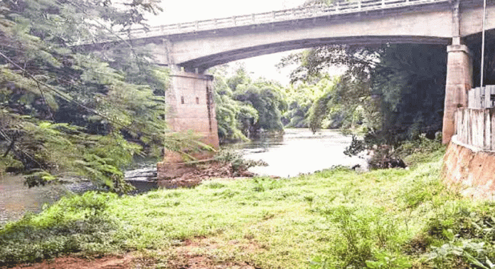 പച്ചത്തുരുത്ത് പദ്ധതി ഉദ്ഘാടനം ഒക്ടോബർ രണ്ടിന് പച്ചത്തുരുത്ത് പദ്ധതി ഉദ്ഘാടനം ഒക്ടോബർ രണ്ടിന്