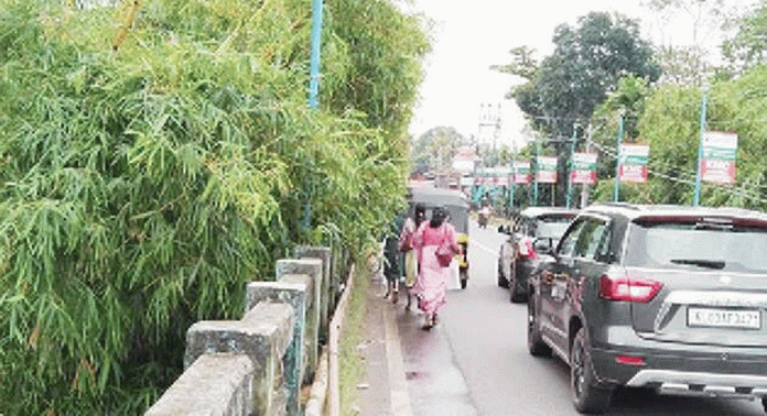 പന്തളം വലിയപാലത്തിൽ ഭീഷണിയായി മുളങ്കാടും വെള്ളക്കെട്ടും പന്തളം വലിയപാലത്തിൽ ഭീഷണിയായി മുളങ്കാടും വെള്ളക്കെട്ടും