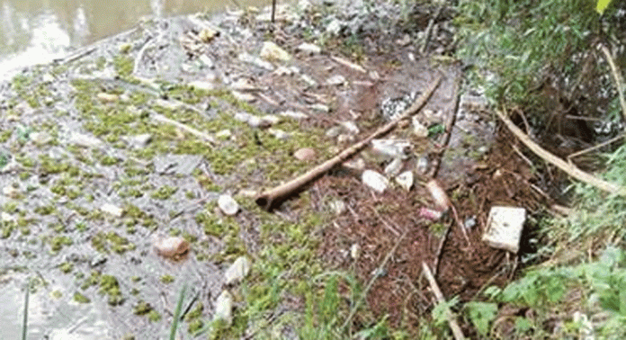 പന്തളം വലിയപാലത്തിന് താഴ്ഭാഗത്ത് മാലിന്യം കുന്നു കൂടുന്നു പന്തളം വലിയപാലത്തിന് താഴ്ഭാഗത്ത് മാലിന്യം കുന്നു കൂടുന്നു