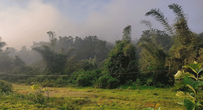 പെരുനാട് പഞ്ചായത്തിലെ 5 മുതല് 9 വരെയുള്ള വാർഡുകള് പരിസ്ഥി ദുർബല മേഖല പട്ടികയില് നിന്ന് ഒഴിവാക്കണം ; മുഖ്യമന്ത്രിക്ക് കത്തു നല്കി പെരുനാട് പഞ്ചായത്തിലെ 5 മുതല് 9 വരെയുള്ള വാർഡുകള് പരിസ്ഥി ദുർബല മേഖല പട്ടികയില് നിന്ന് ഒഴിവാക്കണം ; മുഖ്യമന്ത്രിക്ക് കത്തു നല്കി