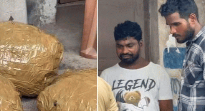 ടൂറിസ്റ്റ് ബസ്സിൽ കടത്തിയ കഞ്ചാവ് പെരുമ്പാവൂരിൽ പിടികൂടി ടൂറിസ്റ്റ് ബസ്സിൽ കടത്തിയ കഞ്ചാവ് പെരുമ്പാവൂരിൽ പിടികൂടി