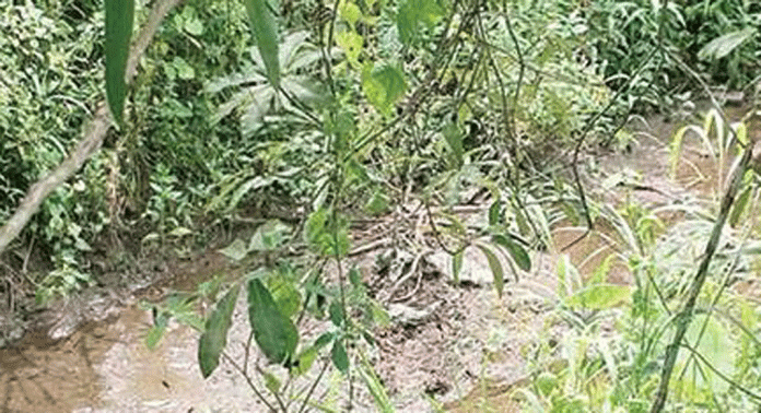 പുന്തല പടിയിൽ വീണ്ടും കക്കൂസ് മാലിന്യം തള്ളി പുന്തല പടിയിൽ വീണ്ടും കക്കൂസ് മാലിന്യം തള്ളി