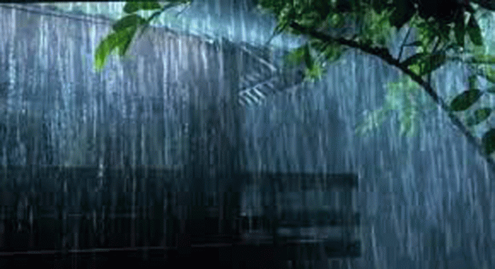 ഉത്രാട പാച്ചിലിനിടെ കേരളത്തിൽ മഴ സാധ്യതയെന്ന് കാലാവസ്ഥ വകുപ്പിന്റെ അറിയിപ്പ് ഉത്രാട പാച്ചിലിനിടെ കേരളത്തിൽ മഴ സാധ്യതയെന്ന് കാലാവസ്ഥ വകുപ്പിന്റെ അറിയിപ്പ്